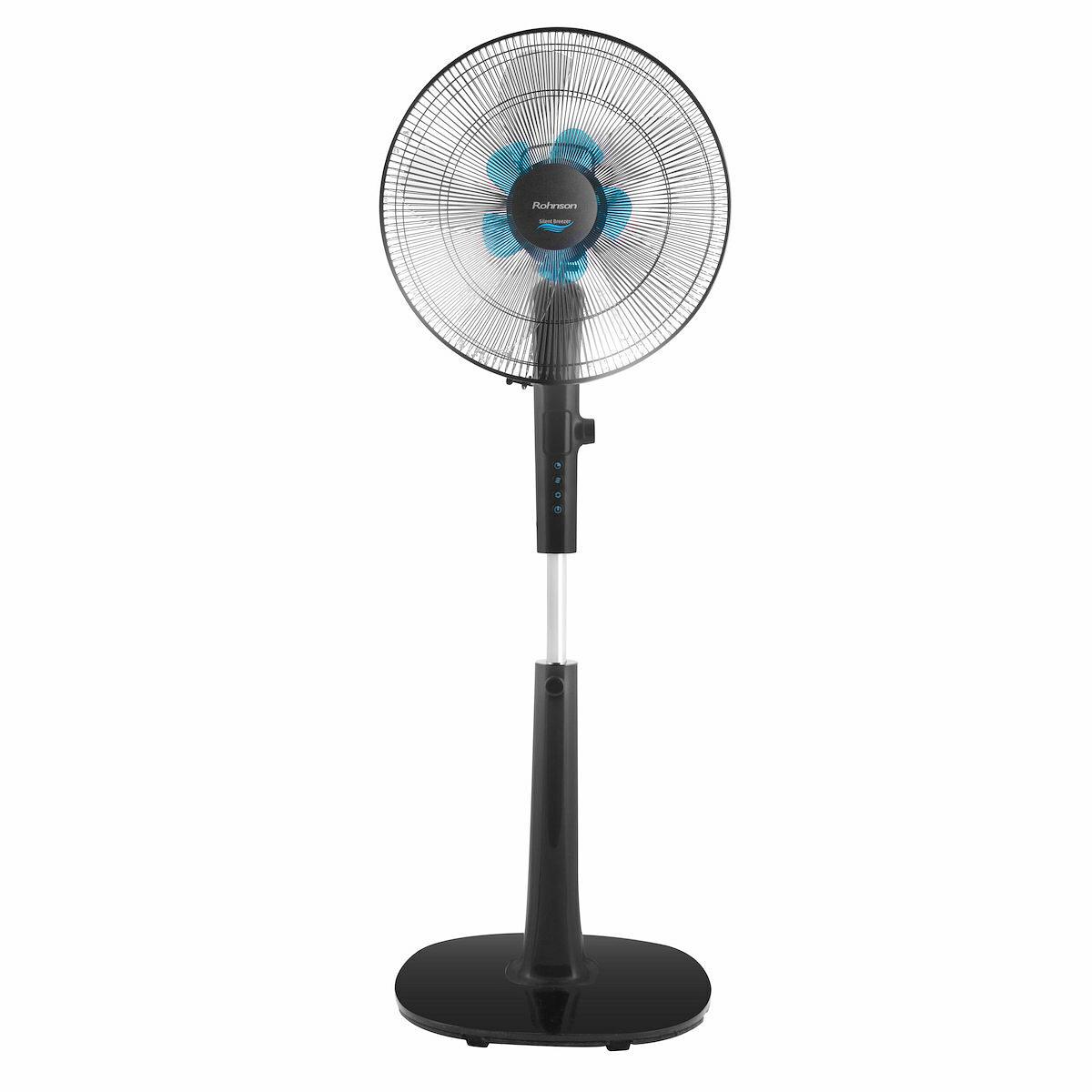 Fans